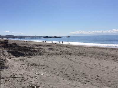 Seacliff Beach